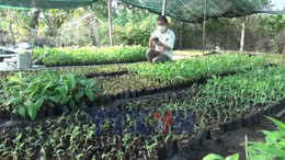 Việt Nam sẽ thí điểm chính sách 'doanh nghiệp một người'