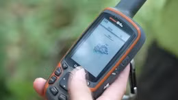 Nghệ An chủ động ứng phó, quyết liệt phòng cháy rừng