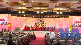 Tuệ giác Phật giáo vì Hòa bình thế giới và Phát triển