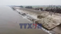 Khắc phục sự cố trên tuyến đê biển Hải Thịnh
