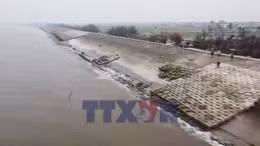 Khắc phục sự cố trên tuyến đê biển Hải Thịnh