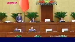 Thời sự 24h qua ảnh sáng 3/11