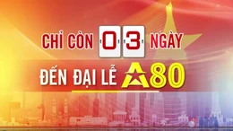 Đếm ngược A80 ngày 31/8/2025