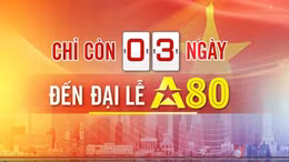 Đếm ngược A80 ngày 31/8/2025