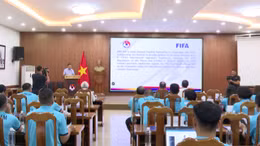 Bóng đá Việt Nam đẩy mạnh chuẩn hóa pháp lý theo tiêu chuẩn FIFA