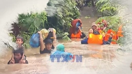 Thiên tai năm 2025 gây thiệt hại lớn hơn năm 2024