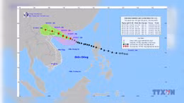 Bão số 11 mạnh cấp 12 di chuyển theo hướng Tây Tây Bắc