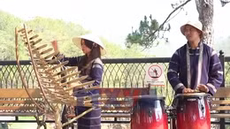 Chủ động chấp hành quy định về bản quyền âm nhạc ở Đà Lạt