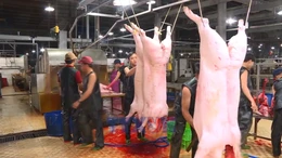 Tiêu điểm kinh tế tuần: Siết chặt kiểm soát an toàn thực phẩm