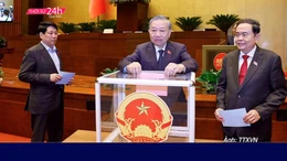 Thời sự 24h qua ảnh sáng 10/11