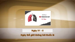 Khoảnh khắc & Sự kiện ngày 31/5