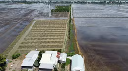 Lối đi bỗng dưng biến mất sau hơn 20 năm sử dụng