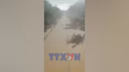 Rút ngắn hành trình nhiều chuyến tàu Bắc - Nam