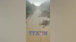 Rút ngắn hành trình nhiều chuyến tàu Bắc - Nam