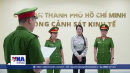 Góc nhìn pháp lý vụ diễn viên Trương Ngọc Ánh bị khởi tố