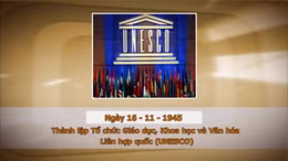 Khoảnh khắc & sự kiện ngày 16/11