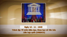 Khoảnh khắc & sự kiện ngày 16/11