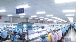 FDI tăng mạnh tạo kỳ vọng mới cho nền kinh tế