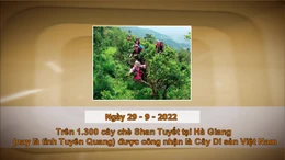 Khoảnh khắc & sự kiện ngày 29/9