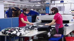 Cơ hội chuyển mình từ áp lực thuế quan