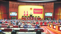 Đảng bộ TTXVN quán triệt Nghị quyết 79, 80 của Bộ Chính trị