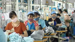 Xuất khẩu cuối năm 2025 được kỳ vọng sẽ tiếp tục tăng trưởng