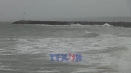 Lâm Đồng chủ động ứng phó bão số 15