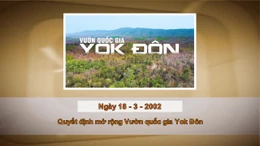 Khoảnh khắc & sự kiện ngày 18/3