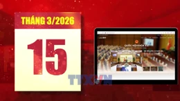 5 điểm mới quan trọng của kỳ bầu cử 2026 - 2031