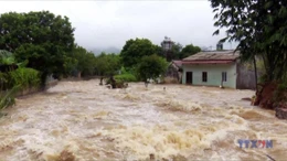 Tin lũ đặc biệt lớn trên sông Cầu, sông Thương