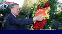 Thời sự qua ảnh chiều 28/10
