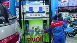 Ô tô và bước chuyển sang xăng sinh học E10