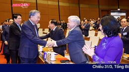 Thời sự 24h qua ảnh chiều 31/3