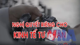 Doanh nghiệp tư nhân sẽ đóng góp khoảng 55 - 58% GDP