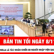 Vi khuẩn salmonella là tác nhân khiến 80 người nhập viện sau khi ăn bánh mì