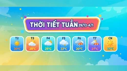 Thời tiết tuần từ ngày 29/12/2025 - 4/1/2026