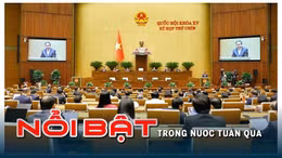 Tin tức TV - Nổi bật tuần qua: Sẵn sàng vận hành tổ chức bộ máy mới từ ngày 1/7; Xét xử vụ án Tập đoàn Phúc Sơn