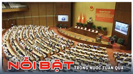 Nổi bật tuần qua: Tuyên án vụ án Tập đoàn Thuận An; Giá vàng giảm mạnh 