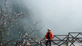 Thời tiết tuần 2/2-8/2: Miền Bắc đón đợt không khí lạnh mạnh khiến nền nhiệt giảm nhanh