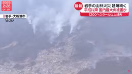 Cháy rừng nghiêm trọng nhất ở Nhật Bản trong hơn 30 năm