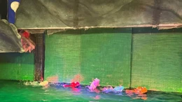 Đến bảo tàng xem múa rối nước