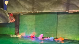 Đến bảo tàng xem múa rối nước