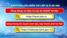 Cách tra cứu điểm thi lớp 10 ở Hà Nội 