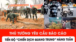 Thủ tướng yêu cầu báo cáo tiến độ 'Chiến dịch Quang Trung' hằng tuần