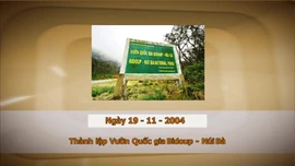 Khoảnh khắc & sự kiện ngày 19/11