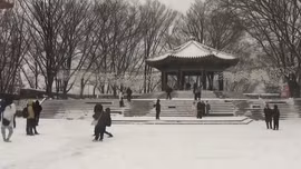 Hàn Quốc chìm trong tuyết và giá lạnh