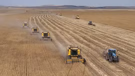 EU thúc đẩy phát triển ngành nông nghiệp bền vững