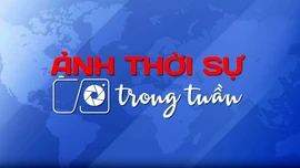 Ngày 16/2/2025: Việt Nam trong tuần qua ảnh