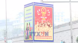 Quy trình hiệp thương lựa chọn, giới thiệu người ứng cử ĐBQH khóa XVI, ĐB HĐND