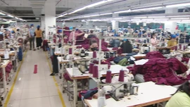 Doanh nghiệp Bắc Ninh nỗ lực ứng phó với áp lực thuế quan